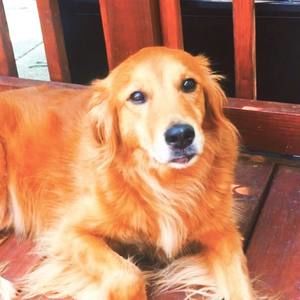 Meet your Posher, Debra